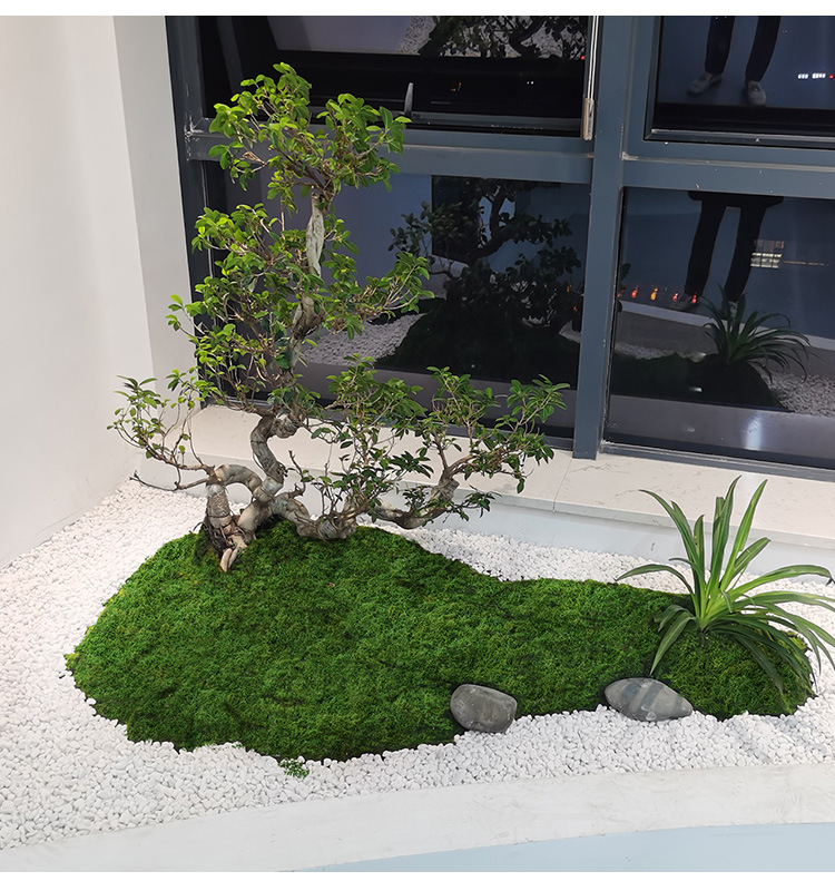 Preserved Moss Sheet - Filaments de mousse artificielle, fausse mousse