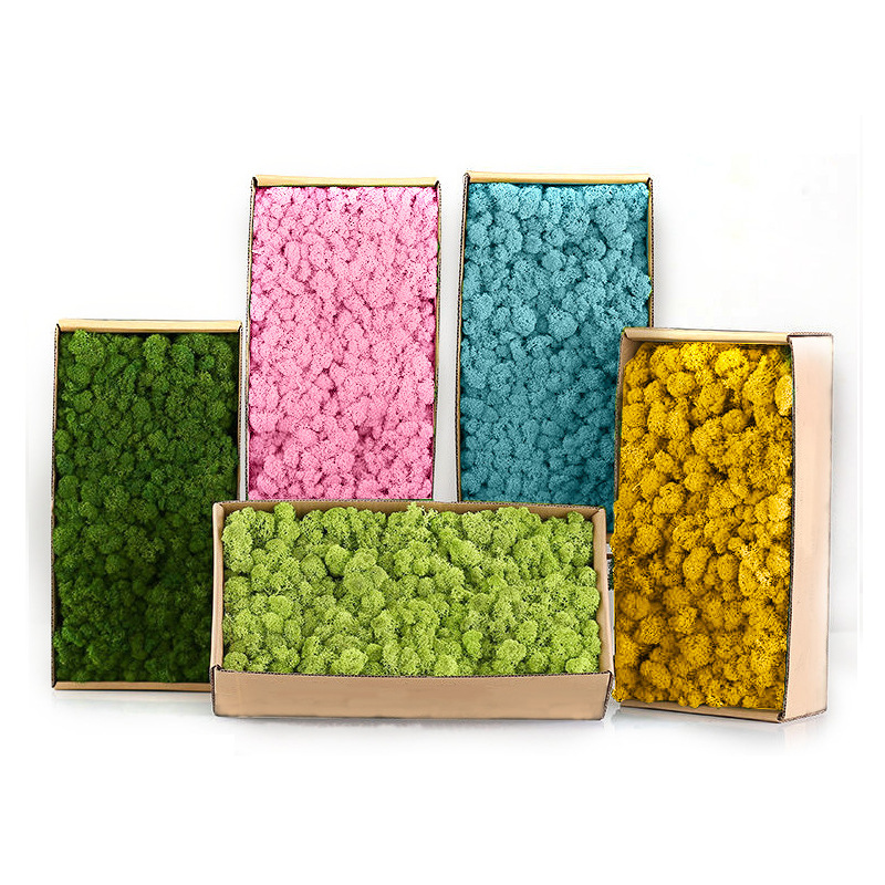 Preserved Moss Sheet - Plantes vertes artificielles Mini paysage vie