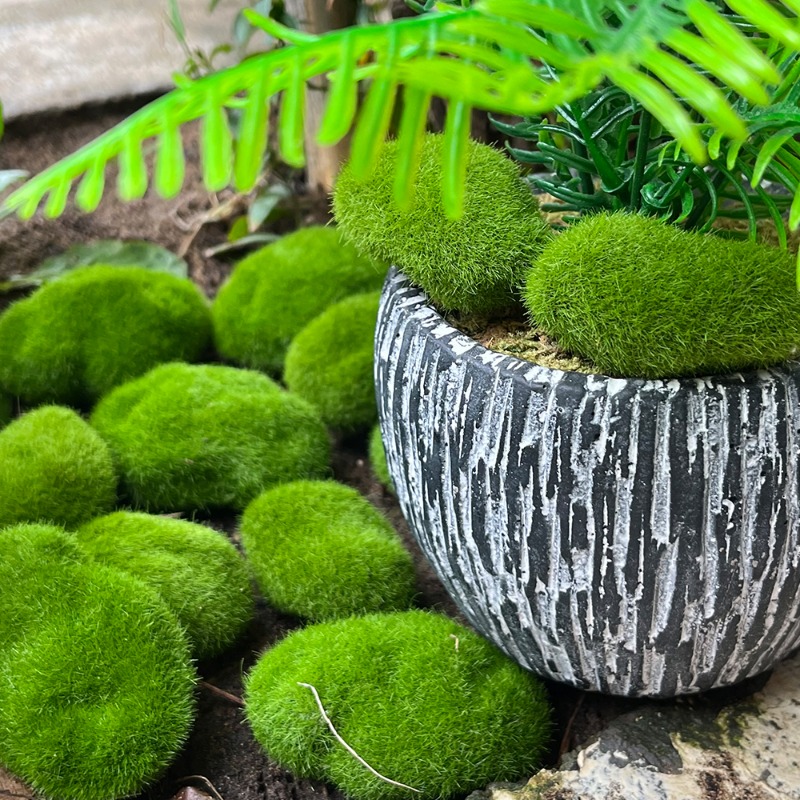 100/5 PIÈCES Pierres artificie - Preserved Moss Sheet avis et prix