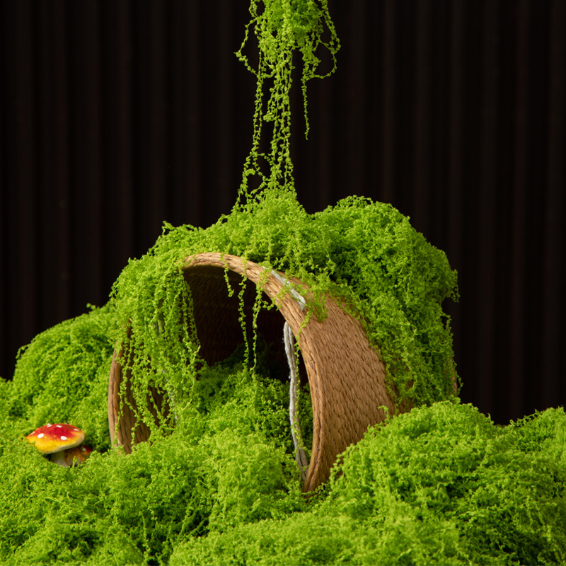 200g de mousse éternelle pour  - Preserved Moss Sheet avis et prix
