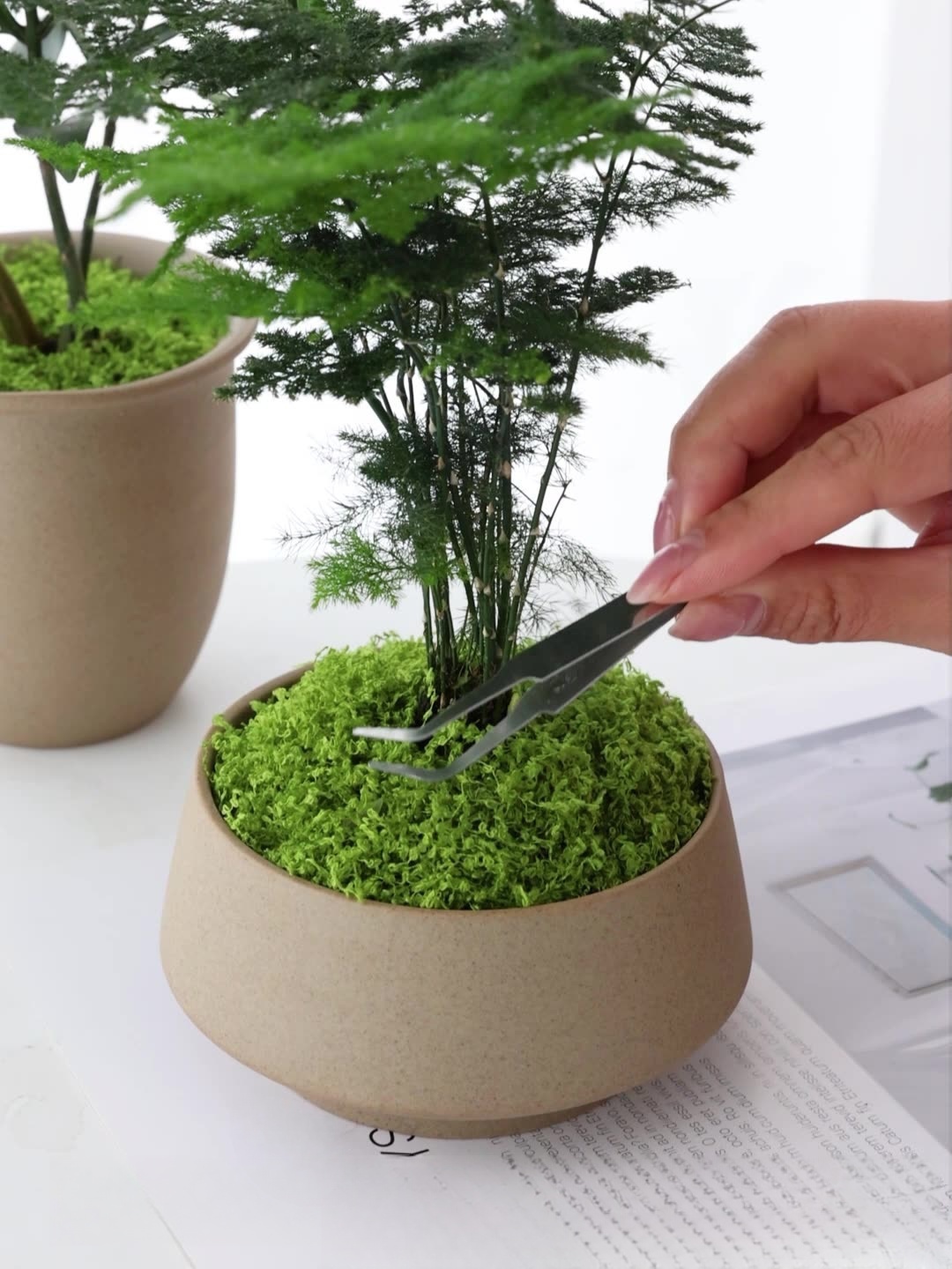Filaments de mousse artificiel - Preserved Moss Sheet avis et prix