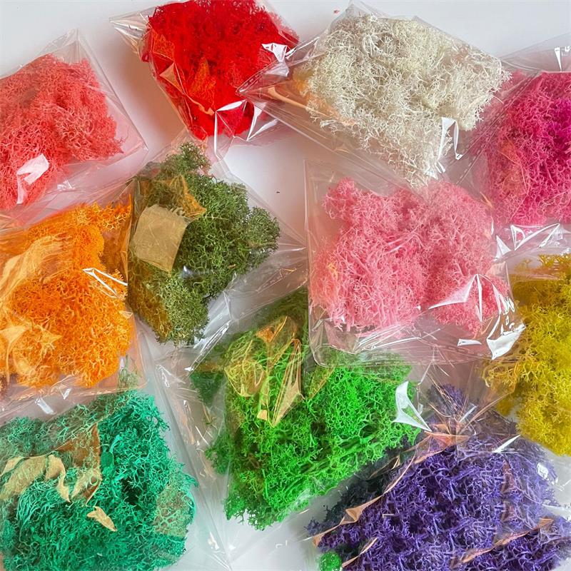 Plantes vertes artificielles e - Preserved Moss Sheet avis et prix